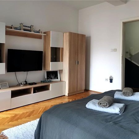 Center Apartment Iva ノヴィ・サド エクステリア 写真