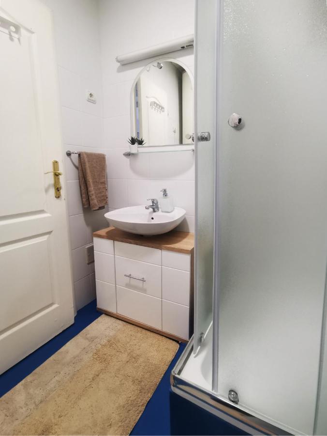 Center Apartment Iva ノヴィ・サド エクステリア 写真